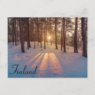 Sunset in snowy winter pine forest canvas print postcard
