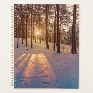 Sunset in snowy winter pine forest planner