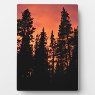 Sunset in Tuolumne Meadows, Yosemite, CA Plaque