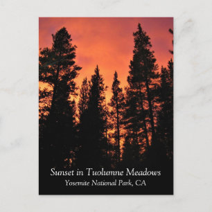 Sunset in Tuolumne Meadows, Yosemite, CA Postcard