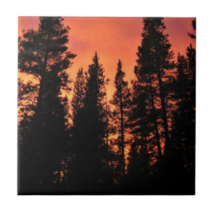 Sunset in Tuolumne Meadows, Yosemite, CA Tile
