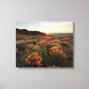 Sunset in Wyoming Indian Paintbrush Mountains Canvas Print