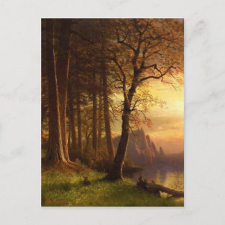 Sunset in Yosemite Postcard