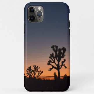 Sunset Joshua Trees iPhone 11 Pro Max Case