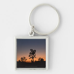 Sunset Joshua Trees Keychain