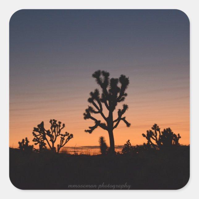 Sunset Joshua Trees Square Sticker (Front)
