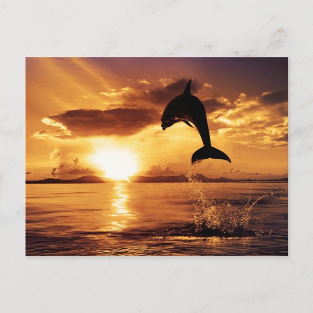 Sunset jump postcard (Front)