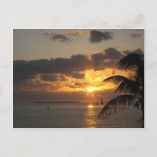 Sunset Key West, Florida Postcard