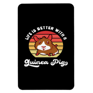 Sunset Life Better With A Guinea Pig Cute Pet Magnet