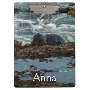 Sunset Lit Harbour Seal I at San Diego Clipboard