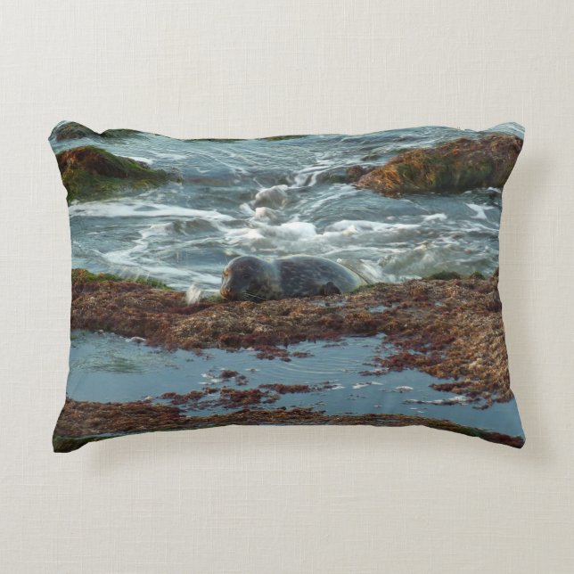 Sunset Lit Harbour Seal I at San Diego Decorative Pillow (Front)