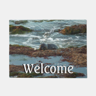 Sunset Lit Harbour Seal I at San Diego Doormat