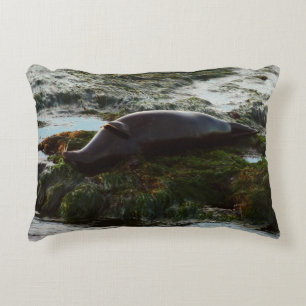Sunset Lit Harbour Seal II at San Diego Decorative Pillow