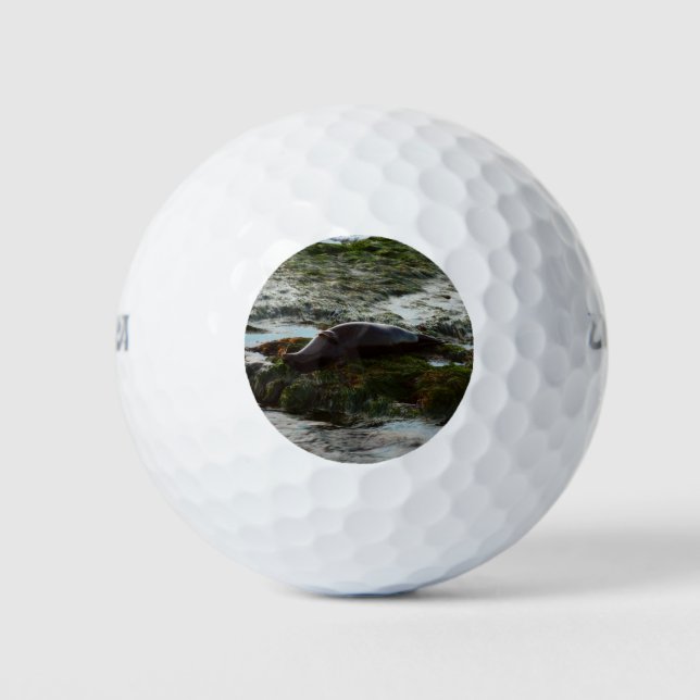 Sunset Lit Harbour Seal II at San Diego Golf Balls (Front)