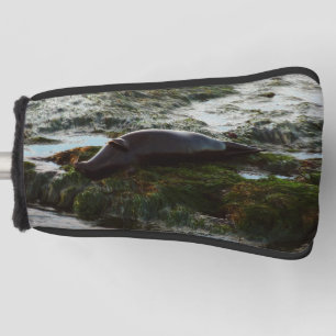 Sunset Lit Harbour Seal II at San Diego Golf Head Cover