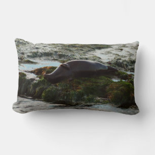 Sunset Lit Harbour Seal II at San Diego Lumbar Pillow