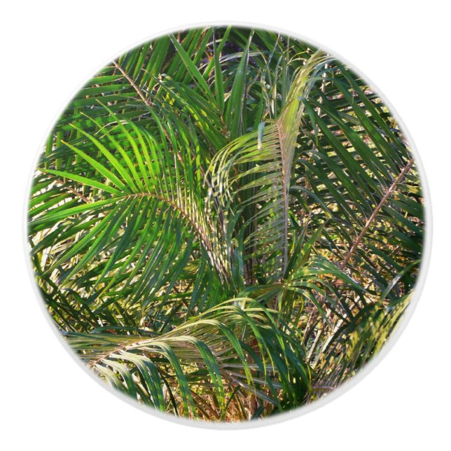 Sunset Lit Palm Fronds Tropical Ceramic Knob (Front)