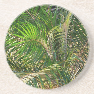 Sunset Lit Palm Fronds Tropical Coaster