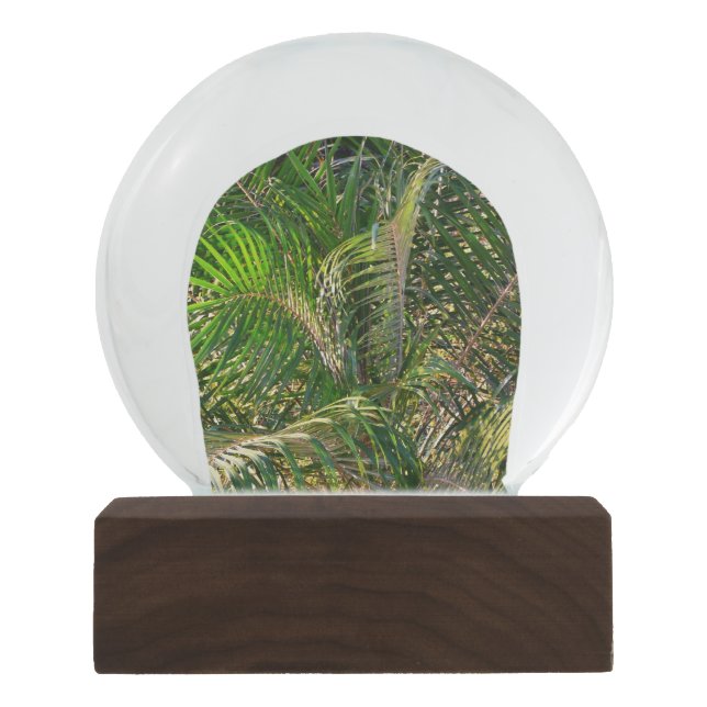 Sunset Lit Palm Fronds Tropical Snow Globe (Front)