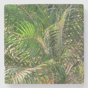 Sunset Lit Palm Fronds Tropical Stone Coaster