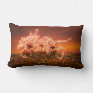 Sunset Macro Nature Scene of Moss and Plant Lumbar Pillow