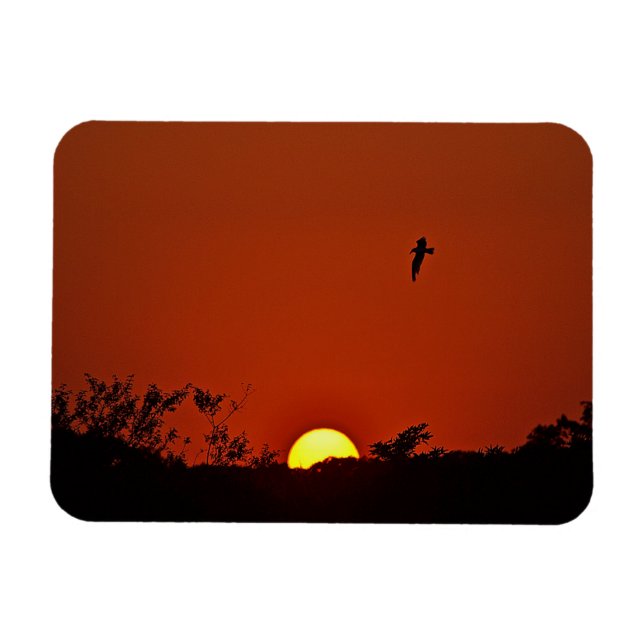 Sunset Magnet (Horizontal)