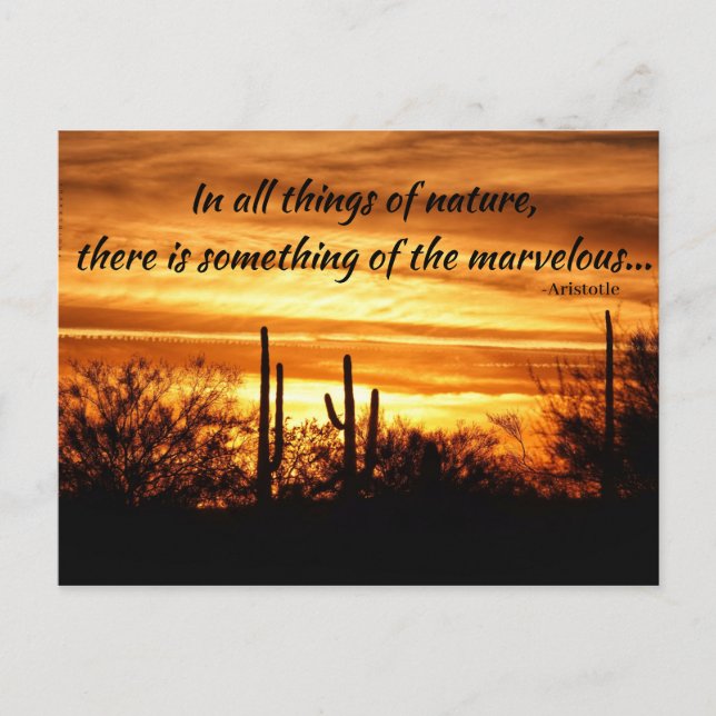 Sunset Marvels  Postcard (Front)