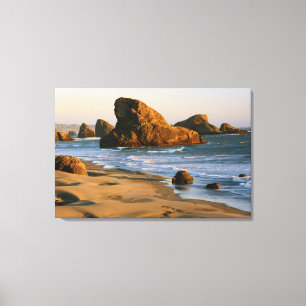 Sunset, Meyers Beach, Oregon, USA Canvas Print