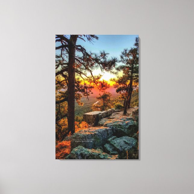 Sunset Mogollon Rim Arizona Pine Trees 24x36 Canvas Print (Front)