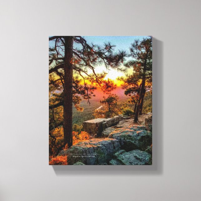 Sunset Mogollon Rim Arizona Pine Trees 8x10 Canvas Print (Front)