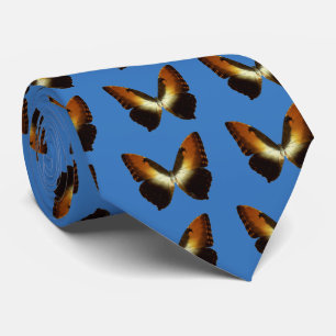 Sunset Morpho (Morpho hecuba) Tie