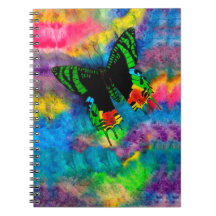 Sunset Moth 6.5 x 8.75