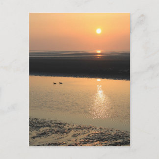 Sunset - New brighton Postcard