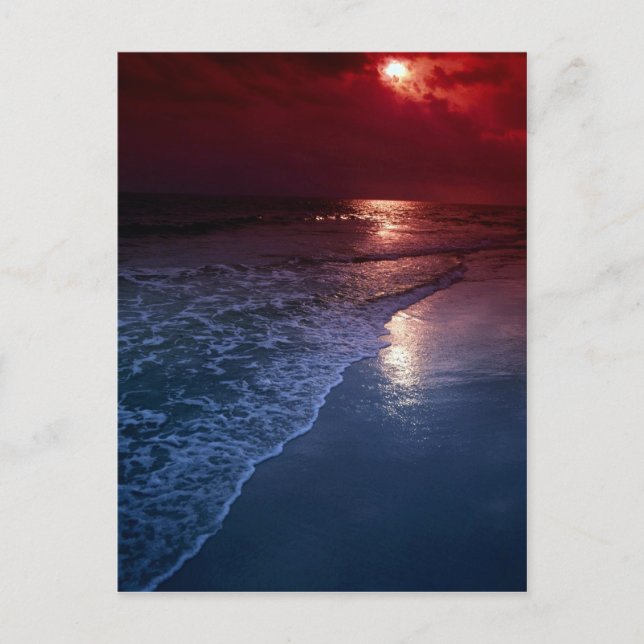 Sunset, ocean, sand, seashore, Florida, U.S.A. Postcard (Front)