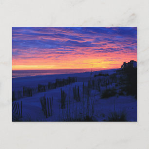 Sunset on Alabama's Beaches Postcard