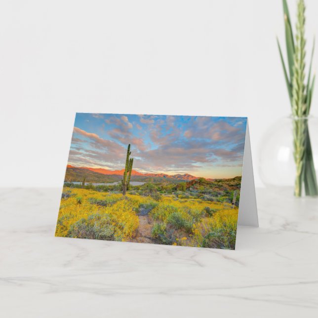 Sunset on Desert Landscape Card (Front)