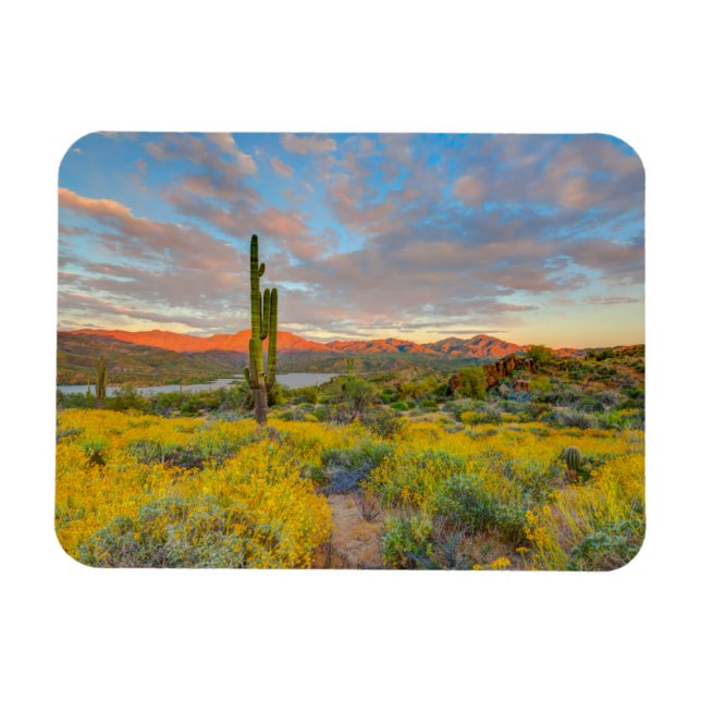 Sunset on Desert Landscape Magnet (Horizontal)