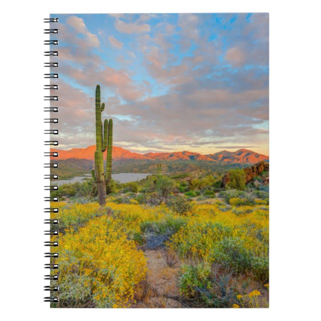 Sunset on Desert Landscape Notebook (Front)