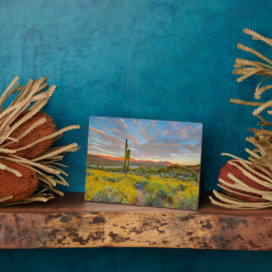 Sunset on Desert Landscape Plaque