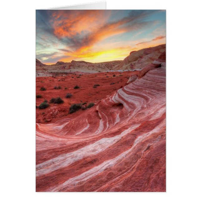 Sunset On Fire Wave (Front)