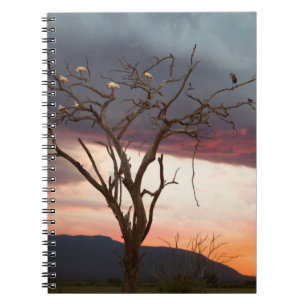 Sunset On Kandheri Swamp With African Spoonbills Notebook