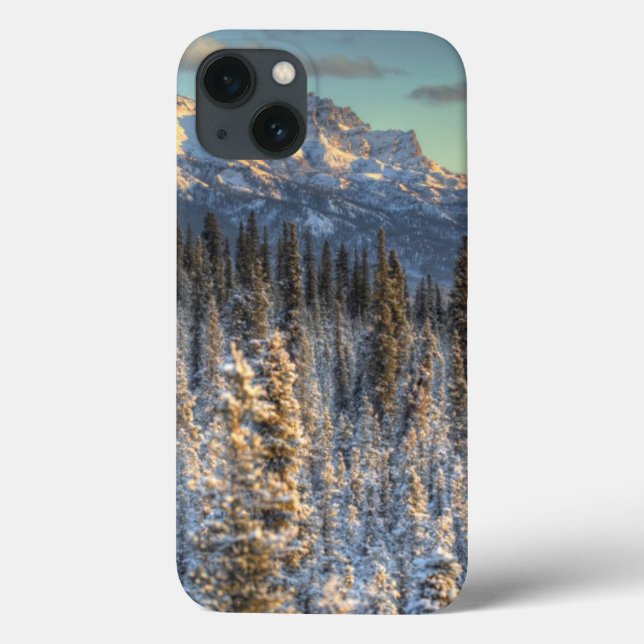 Sunset on Mount Fellows Case-Mate iPhone Case (Back)