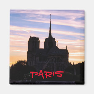 Sunset on Notre Dame de Paris - Paris, France Magnet