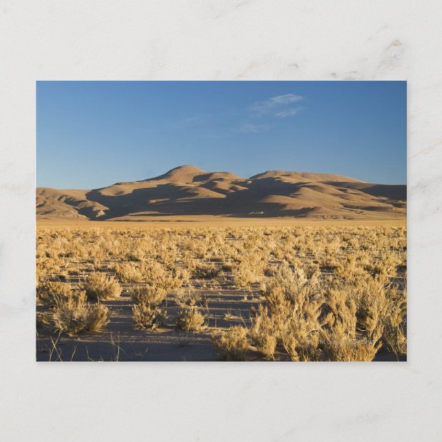 Sunset on the Altiplano of Argentina Postcard (Front)