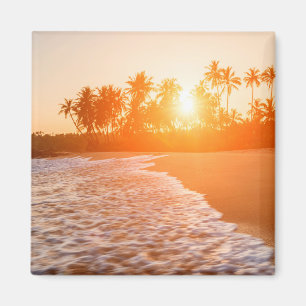 Sunset on the Beach with Coconut Palms Sri Lanka Magnet