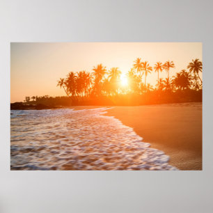 Sunset on the Beach with Coconut Palms Sri Lanka Poster