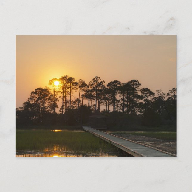 Sunset on the Carolina Coast Postcard (Front)