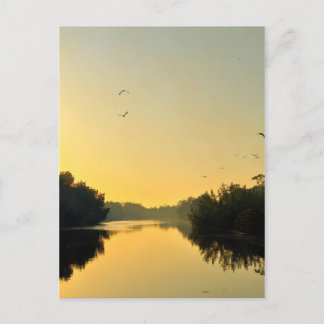 Sunset on The Negril River Postcard