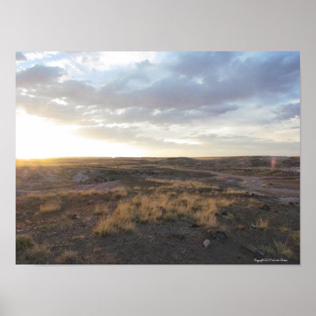 Sunset on the Petrified Forest Poster (Front)
