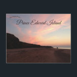 Sunset on the Shores of Prince Edward Island Postcard<br><div class="desc">This gorgeous postcard features a sunset on the shores of Prince Edward Island. 

Enjoy your new Sunset on the Shores of Prince Edward Island postcard!</div>